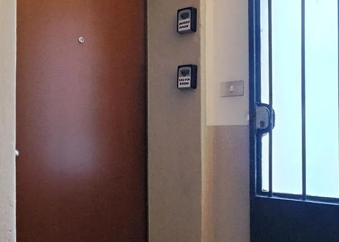 Burro Apartamento *
